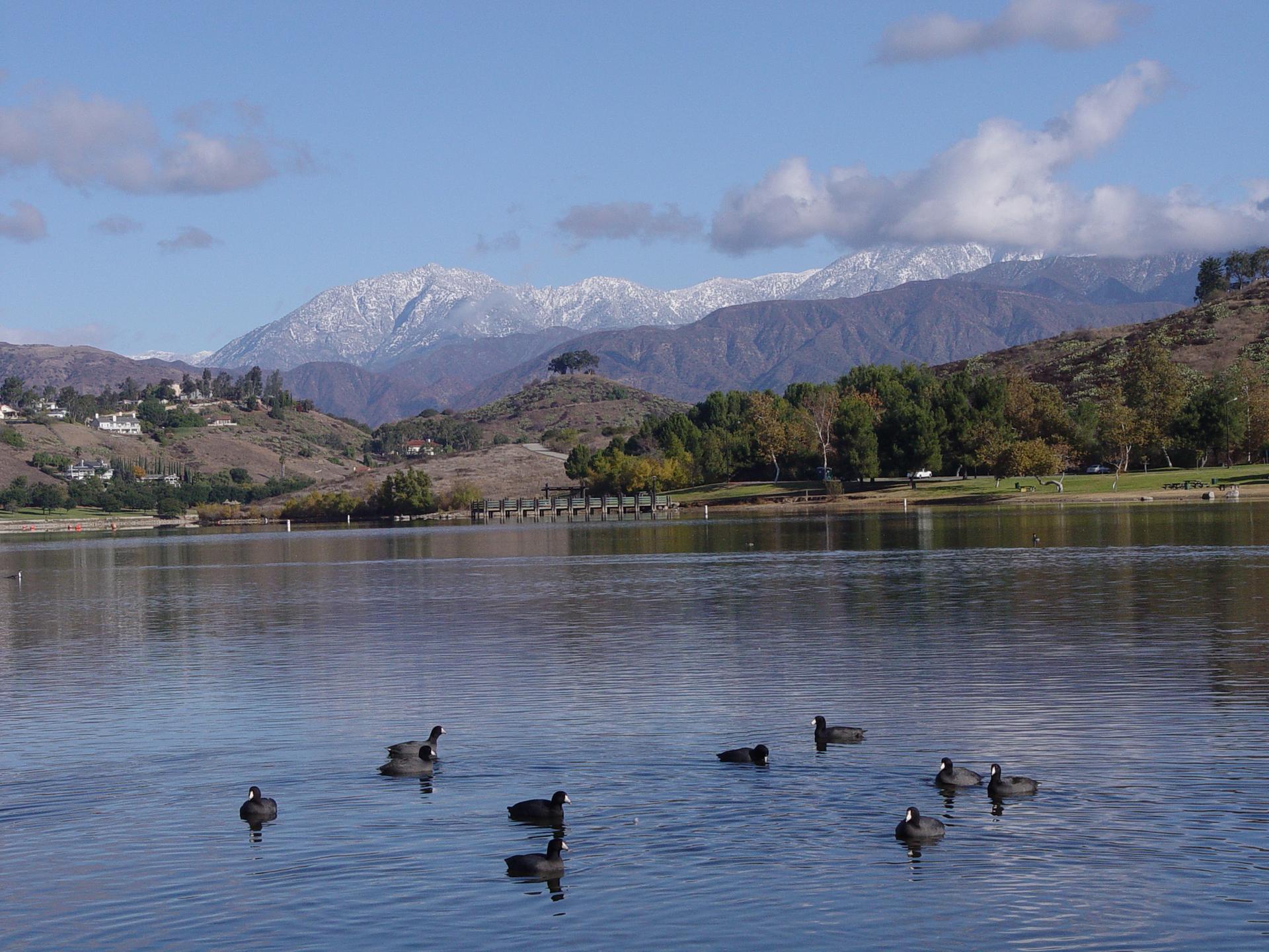 Ducks swim on a lake with snow-capped mountains and hills in the background.