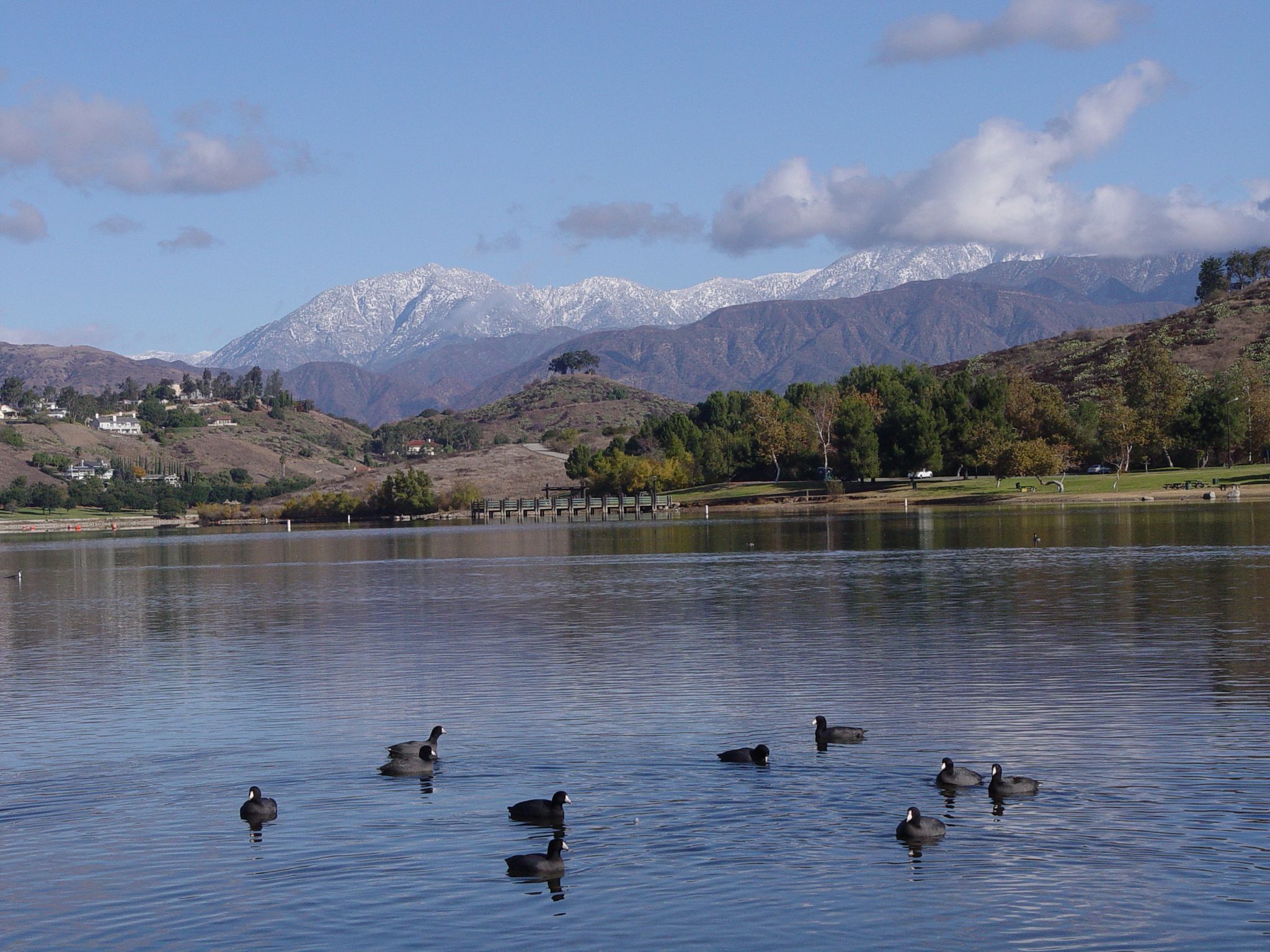 Ducks swim on a lake with snow-capped mountains and hills in the background. - Bonelli Park Loop Trail