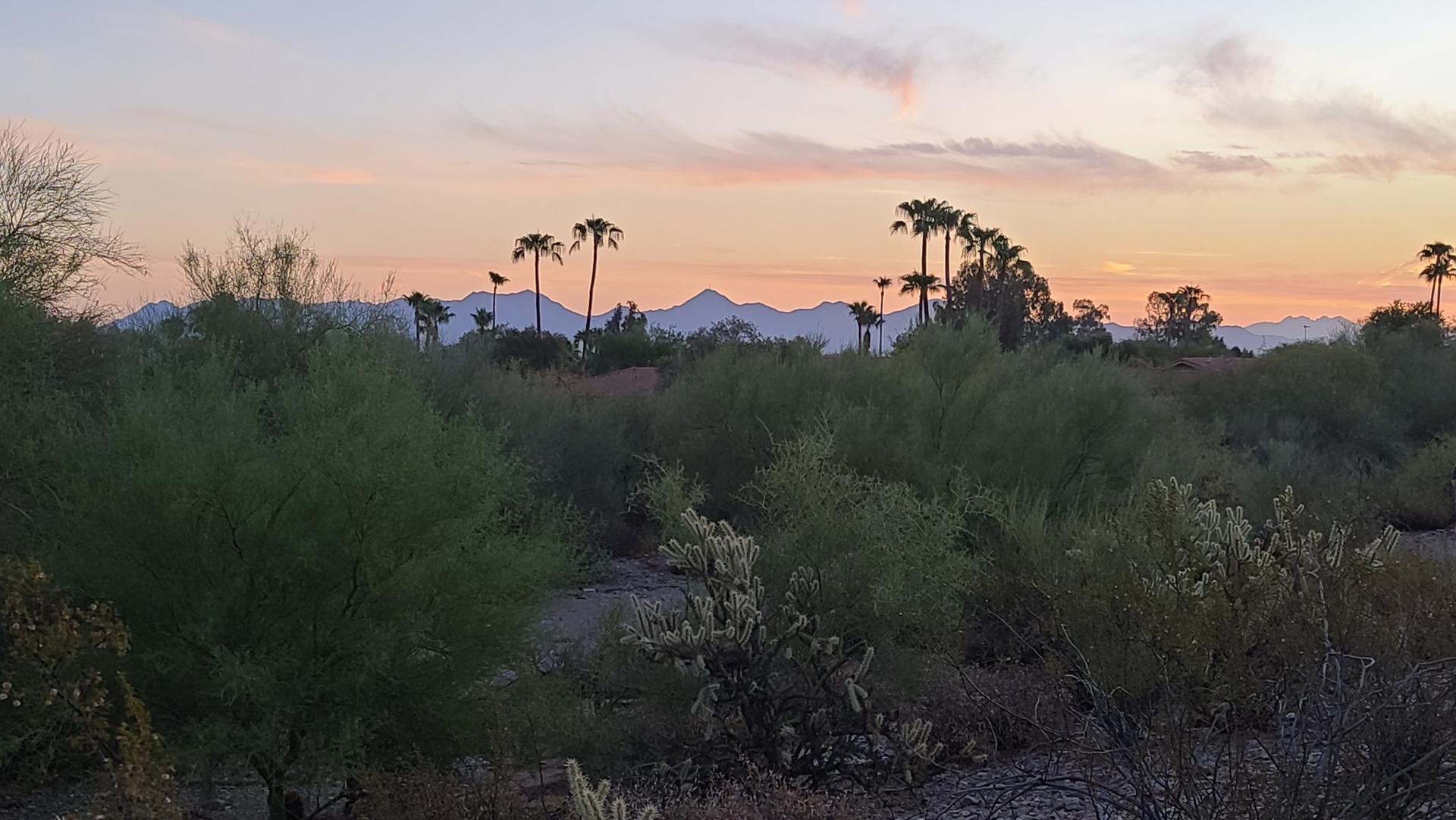 Desert landscape at sunset with palm trees and mountains under a colorful sky.