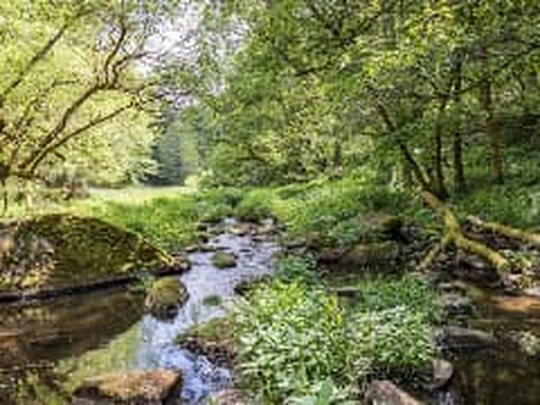 Ruisseau Grasenbach – Itinéraires vélo & Comment s'y rendre | Komoot