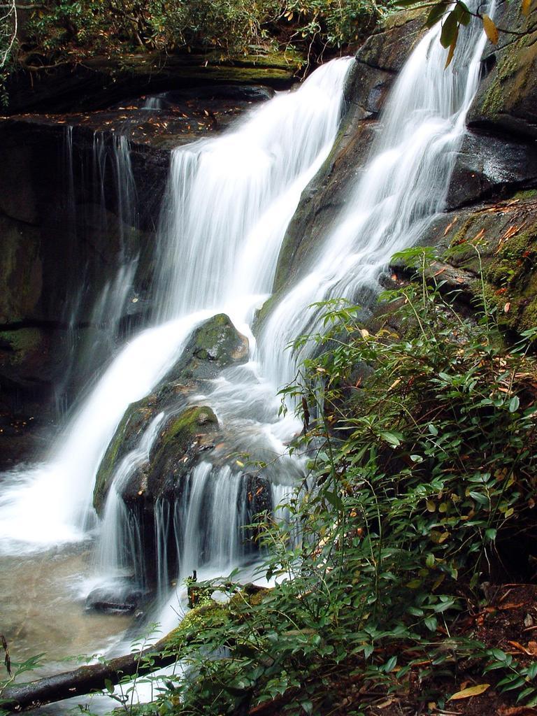 Beautiful waterfall cascading over mossy rocks amidst lush green forest.