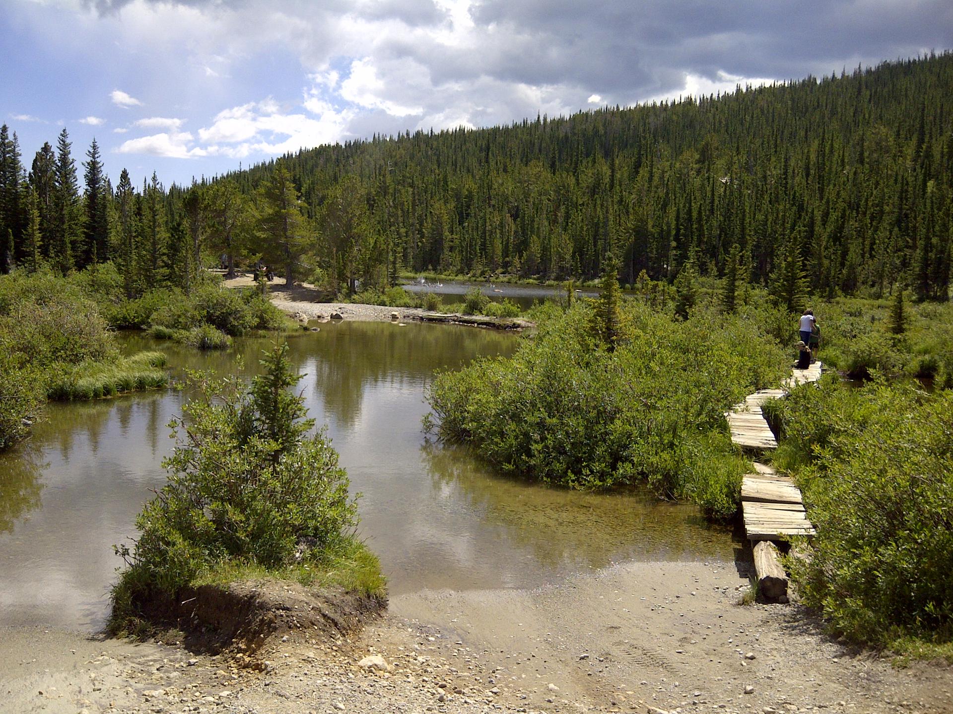 A person walks on a wooden boardwalk next to a calm lake and forest.