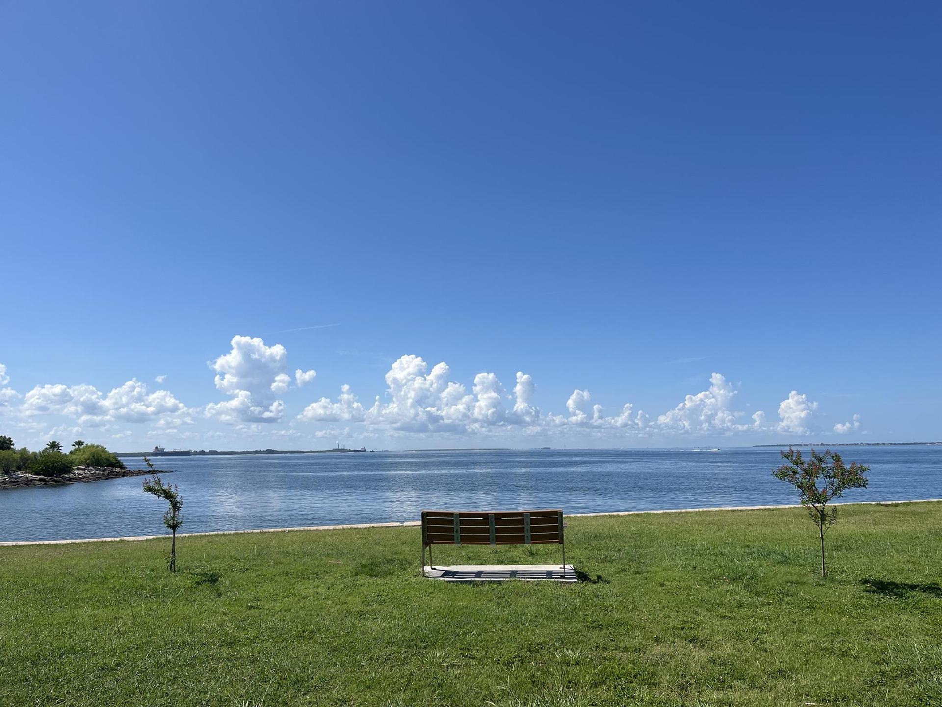 Empty park bench on green grass overlooking calm water under a blue sky.