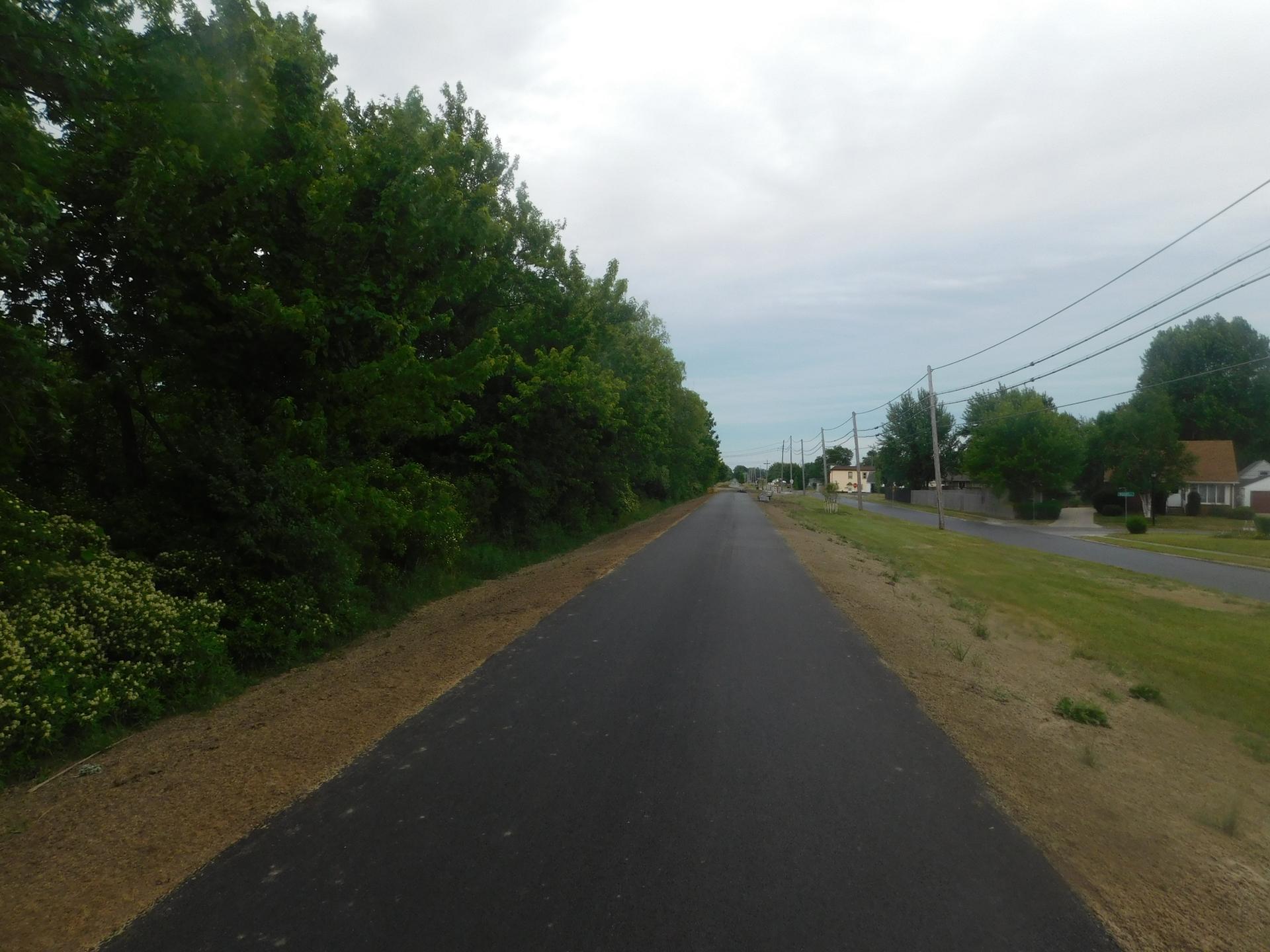 Paved path lined by trees and houses under an overcast sky.