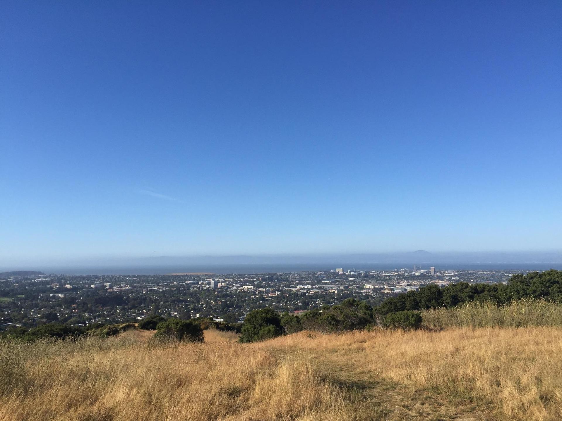 Panoramic view of a sprawling city from a dry grassy hilltop.