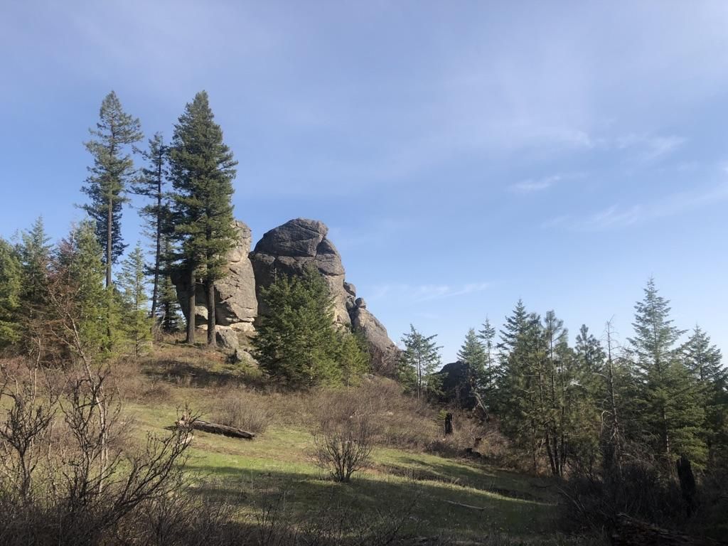 Large rock formations and pine trees on a sunny, grassy hillside. - Iller Creek Loop
