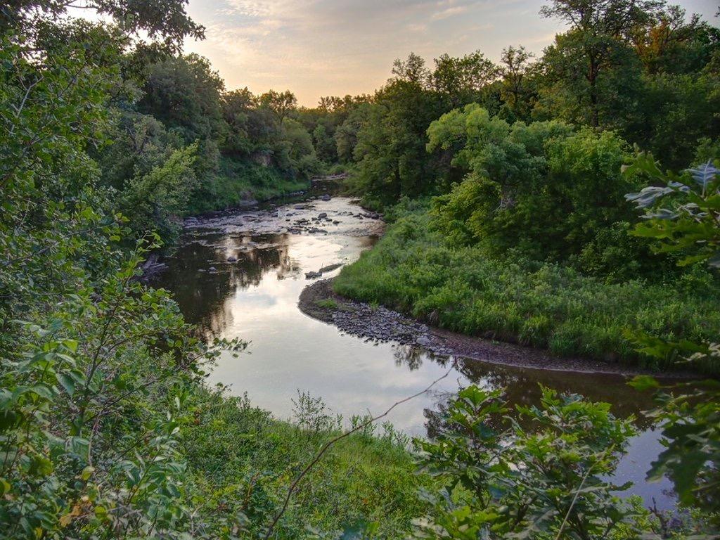A tranquil river winds through dense green foliage under a soft, diffused light.