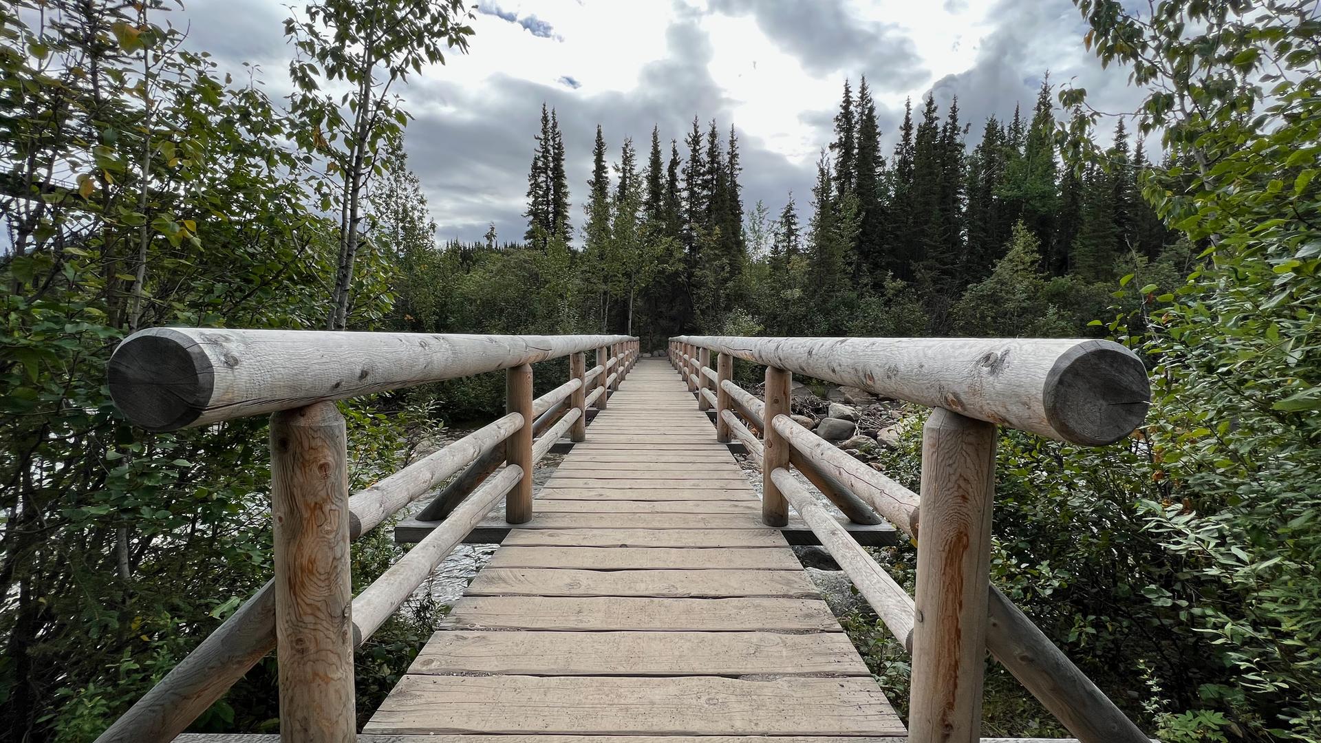 Wooden bridge with log railings extending into a dense green forest.