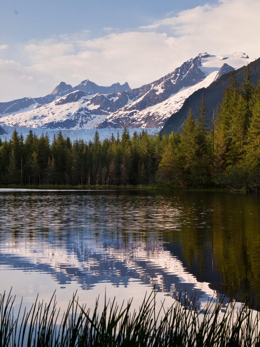 A scenic lake reflects snow-capped mountains and a dense evergreen forest.