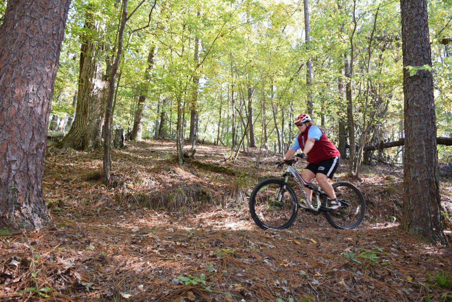 Person in helmet mountain biking on a dirt path through a sunlit forest.