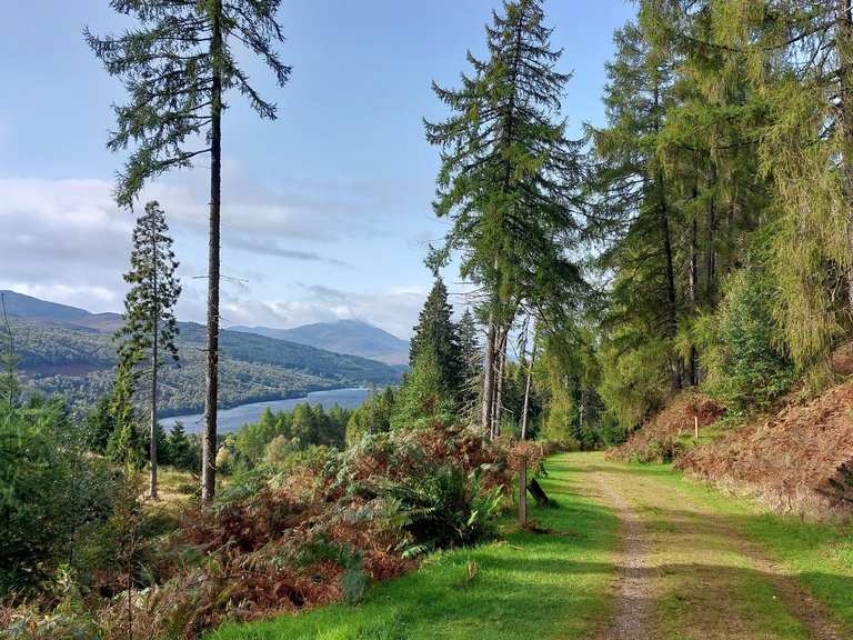 Allean Forest Walking Trails – Hikes & How to Get There | Komoot