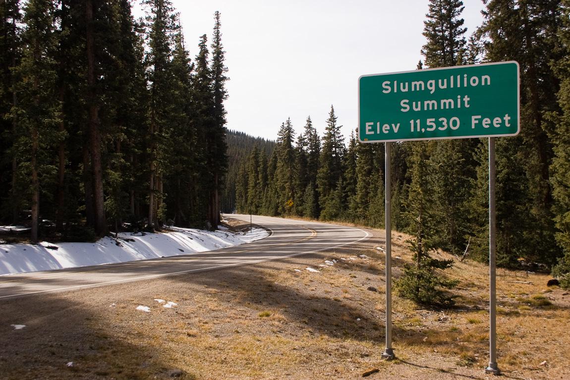 Green road sign beside a winding road through a dense pine forest with snow.