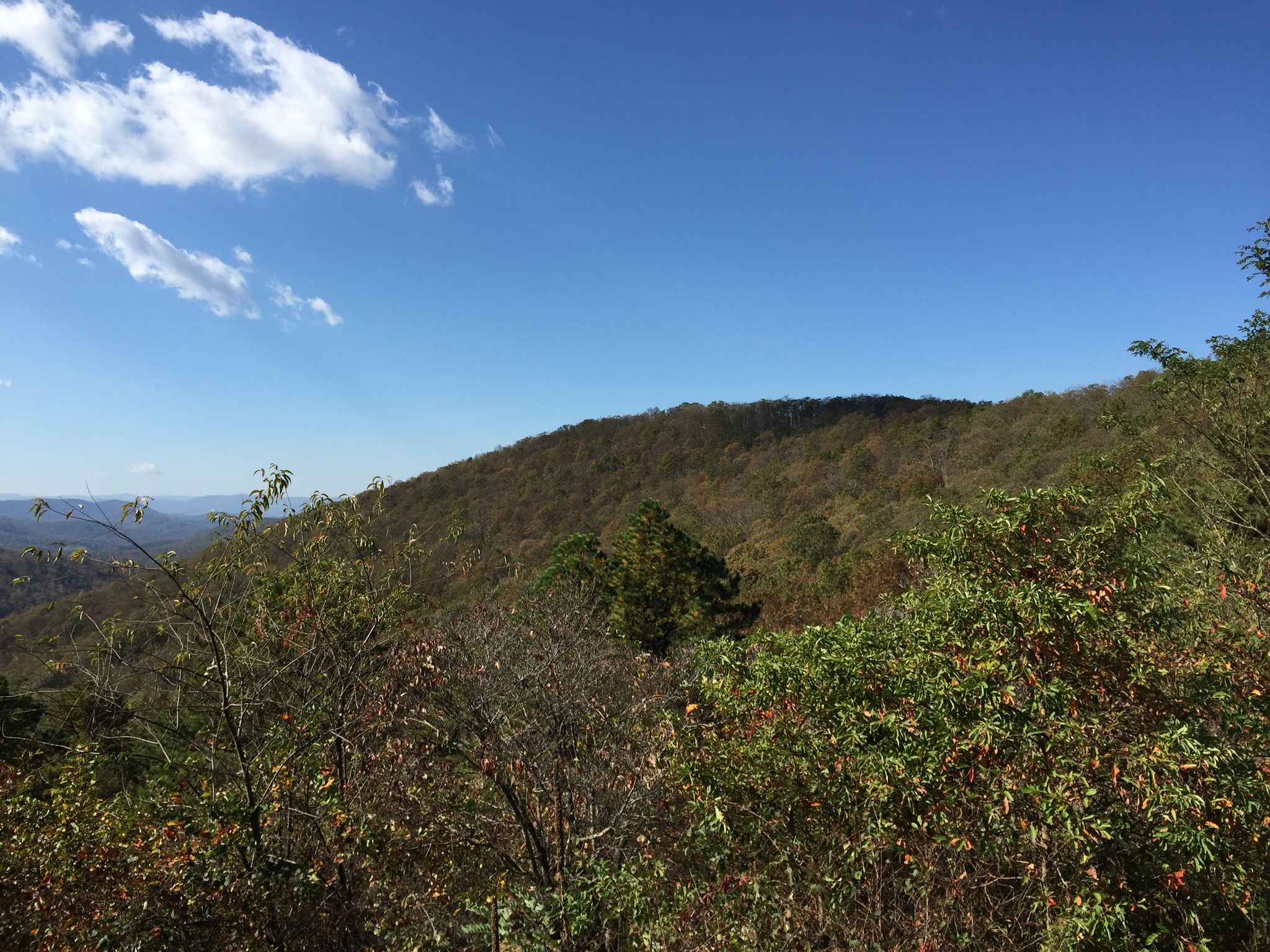 Lush green and brown forested mountainside under a bright blue sky with clouds. - Appalachian Trail: Beagle Gap to Sawmill Run Overlook
