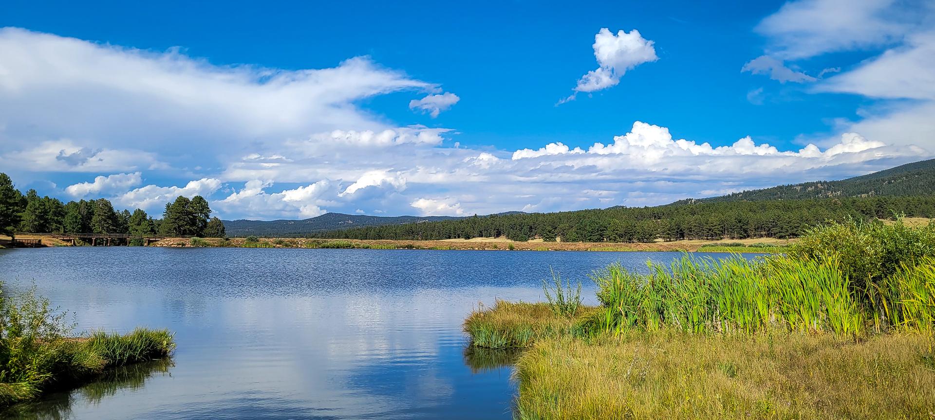 Calm lake reflecting a bright blue sky, surrounded by green reeds and trees.