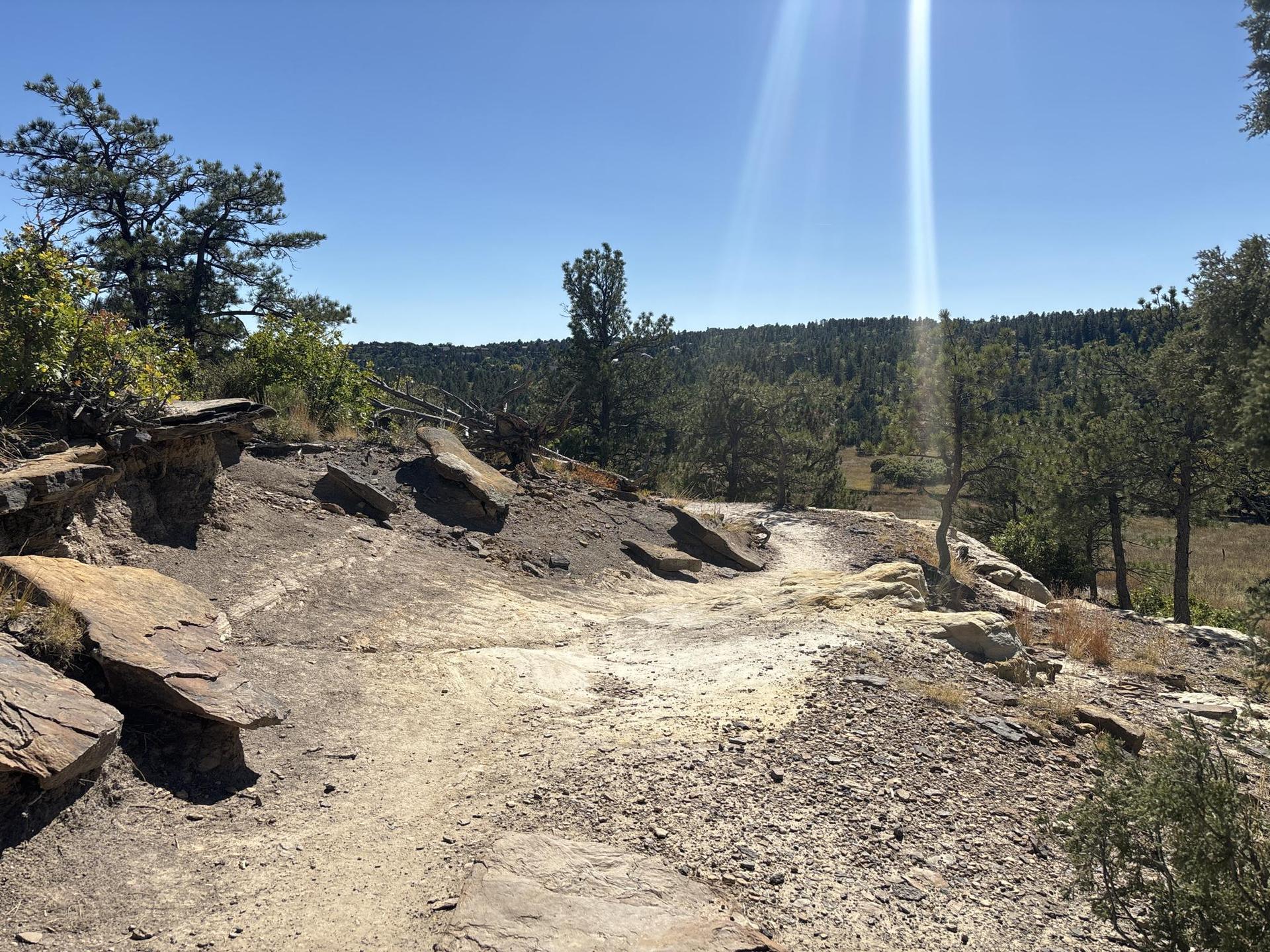 Rocky dirt path winding through trees under a bright, sunny sky.