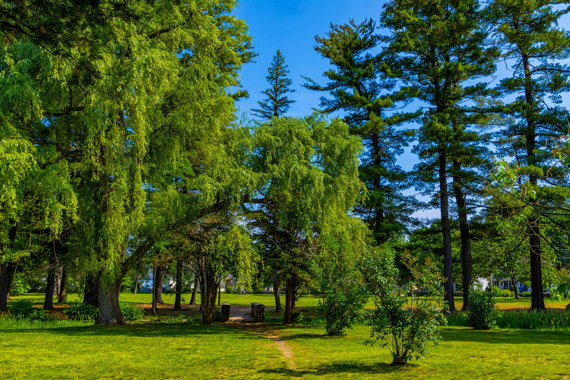 Bright park scene with lush green trees, grassy lawn, and a dirt path.