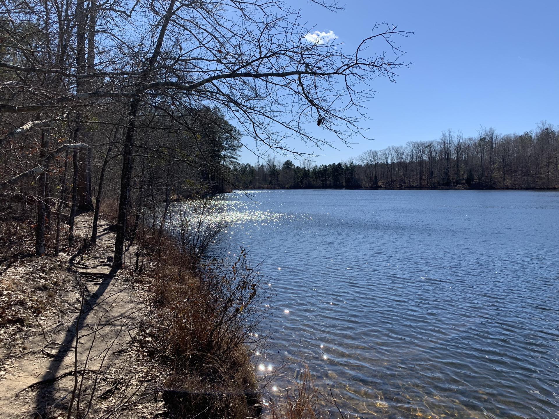 Sunny lake with sparkling water beside a wooded path and bare trees.
