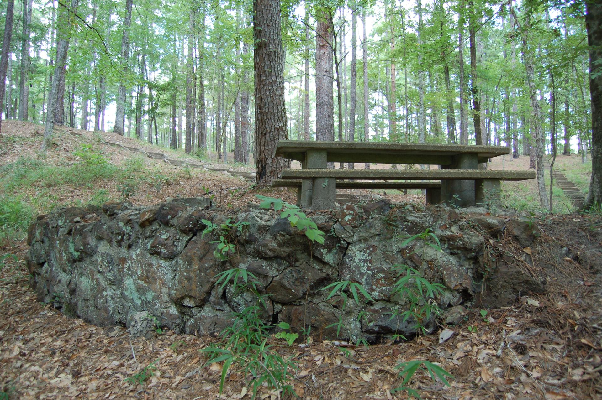 A concrete picnic table in a shaded forest with a stone wall foreground.