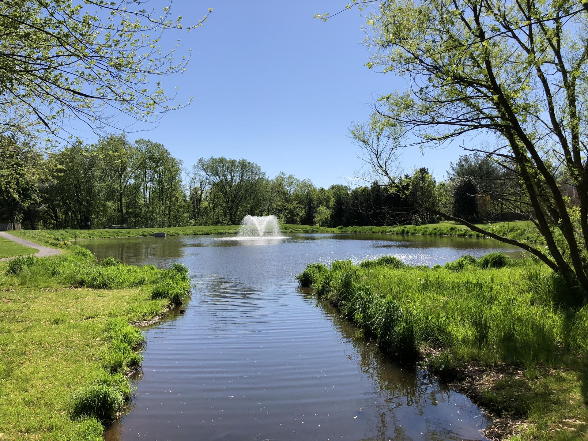 A pond with a fountain, surrounded by green grass and lush trees.