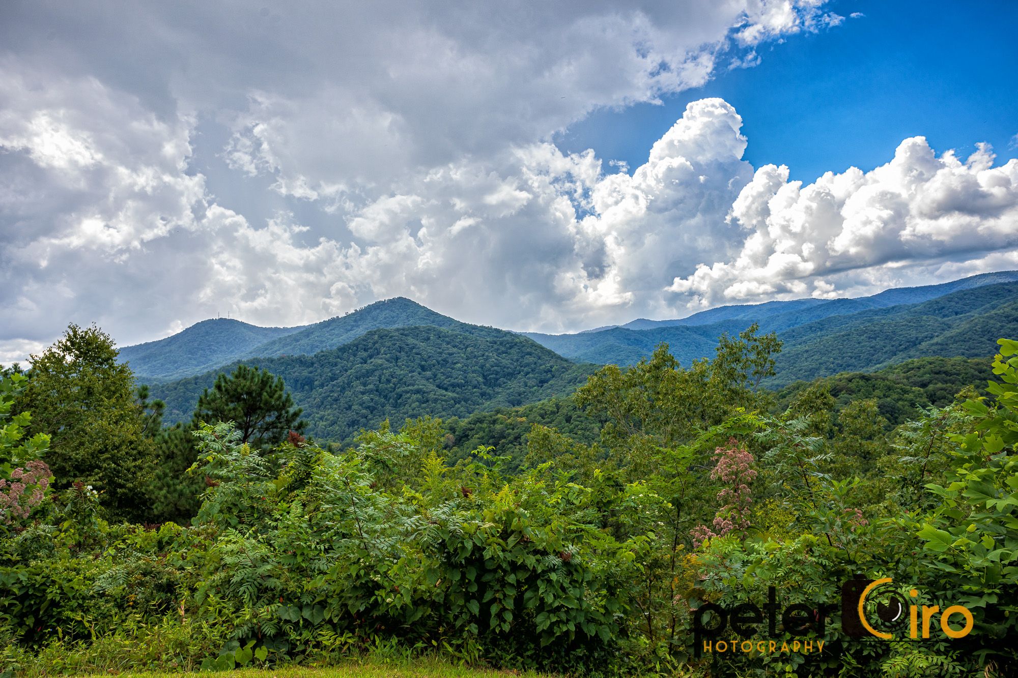 Vibrant green mountains and trees under a bright blue, cloudy sky. - Wolftown, Paint Town, & Cherokee loop