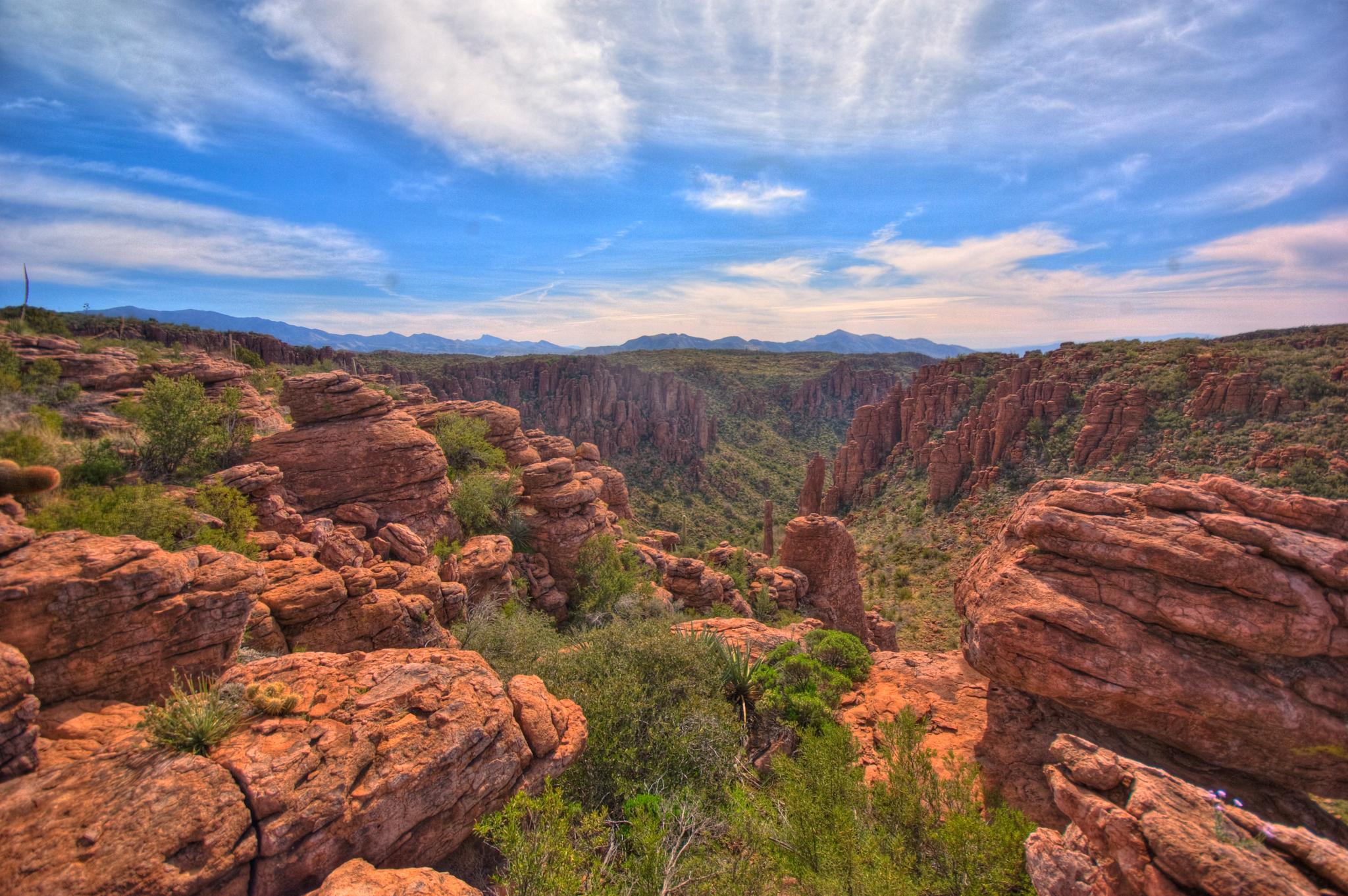 Expansive desert canyon with rugged red rock cliffs and green shrubs under blue sky.