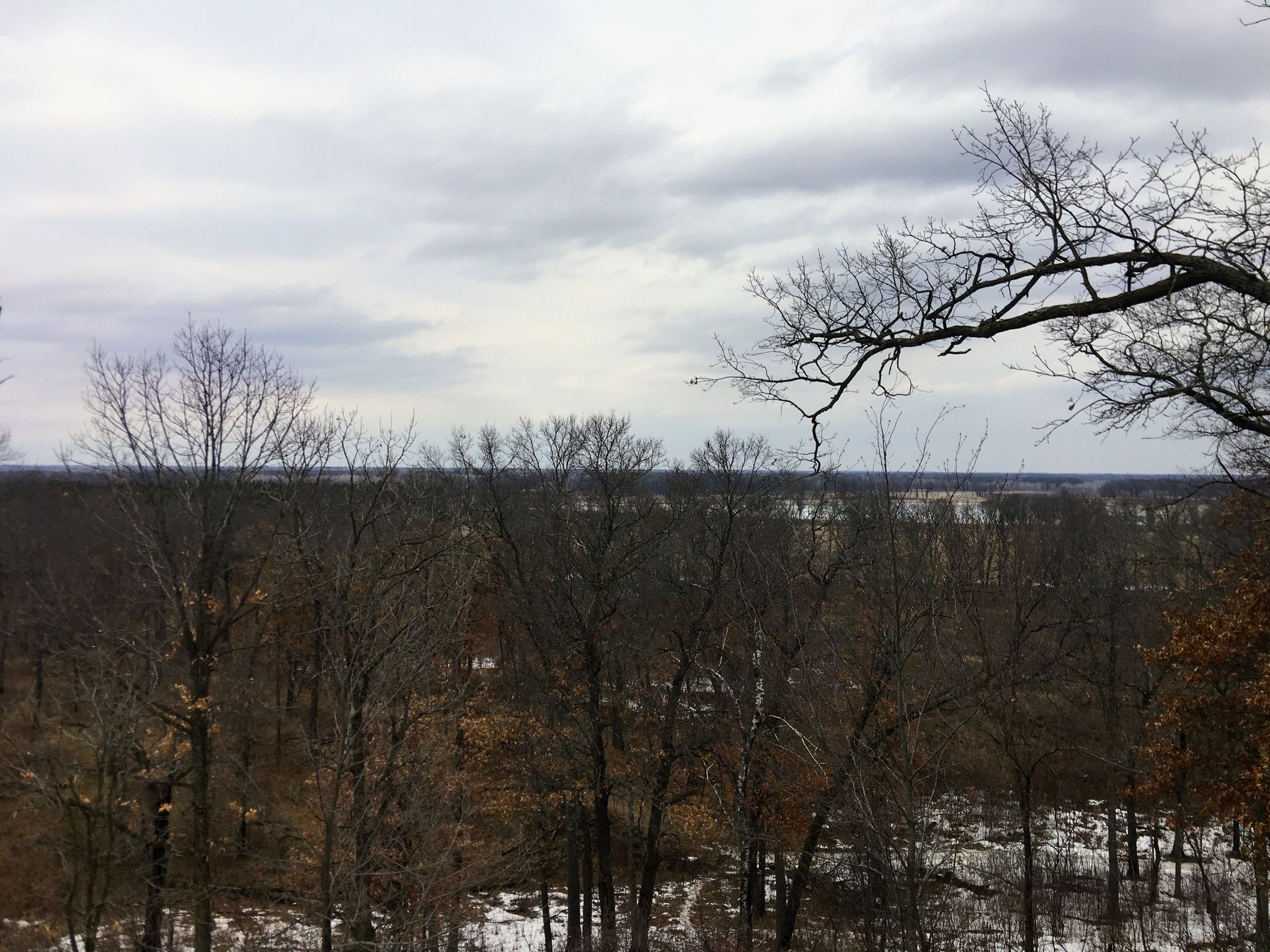 Overcast view of a bare winter forest with distant snowy fields. - Blue Hill Trail