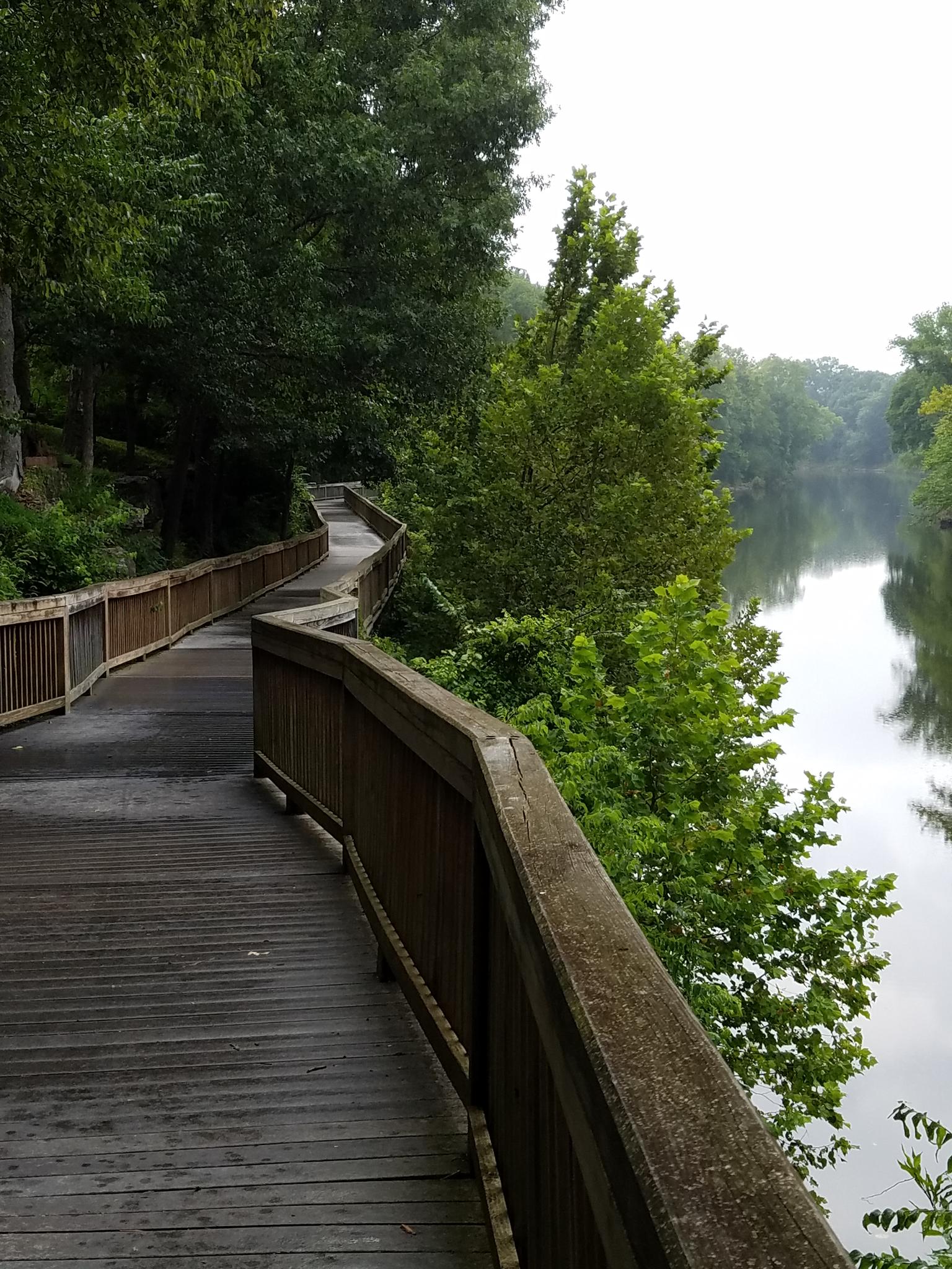 A winding wooden boardwalk overlooks a calm river surrounded by lush green trees.