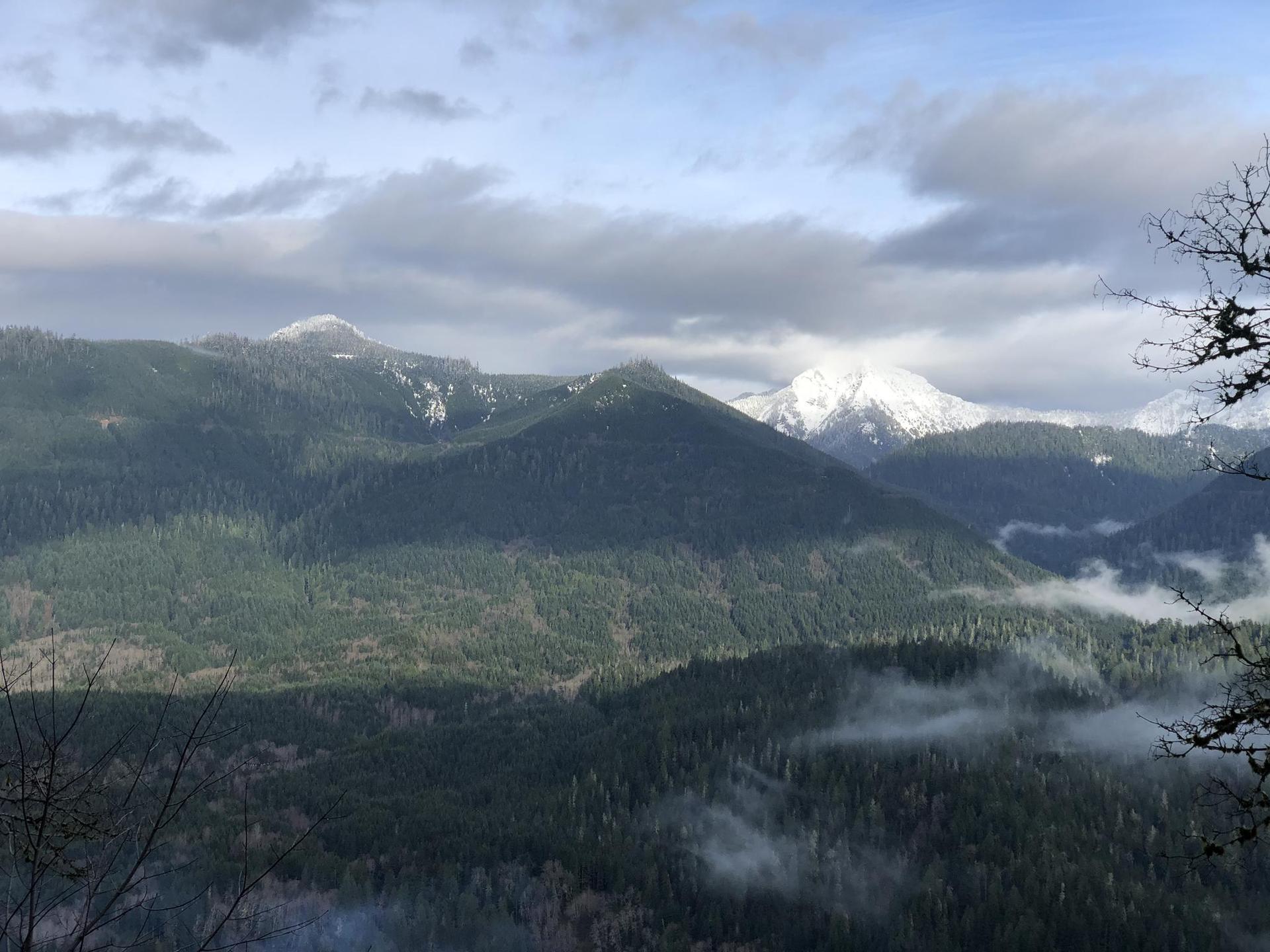 Vast forested mountains with snow-capped peaks and misty valleys under cloudy skies.