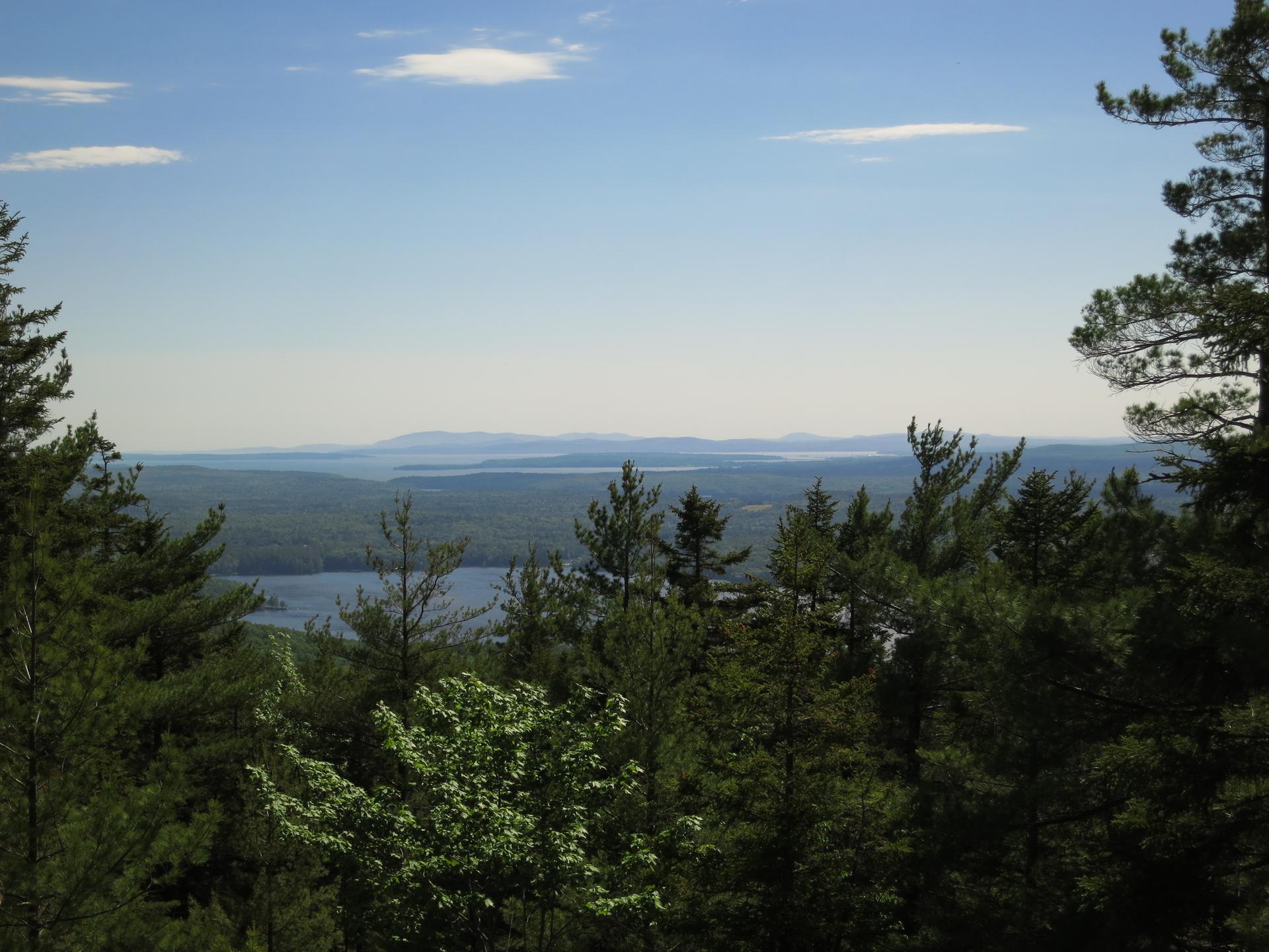 Panoramic view of a vast forest, distant mountains, and a lake.