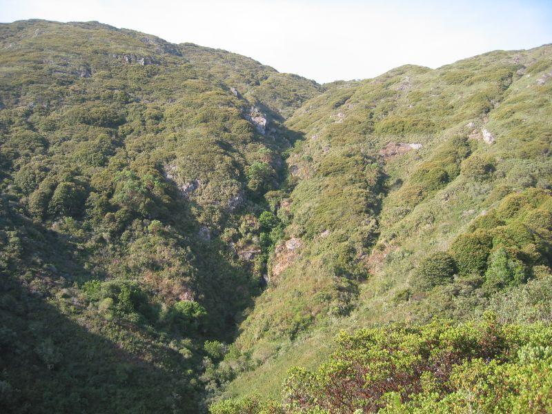 Lush green, rugged mountains with a deep valley under bright daylight.