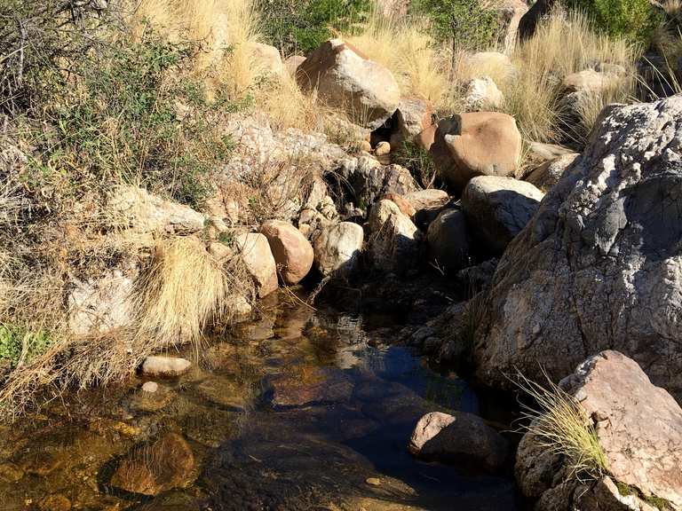 Montrose Pools Loop in Catalina State Park — Coronado National Forest ...