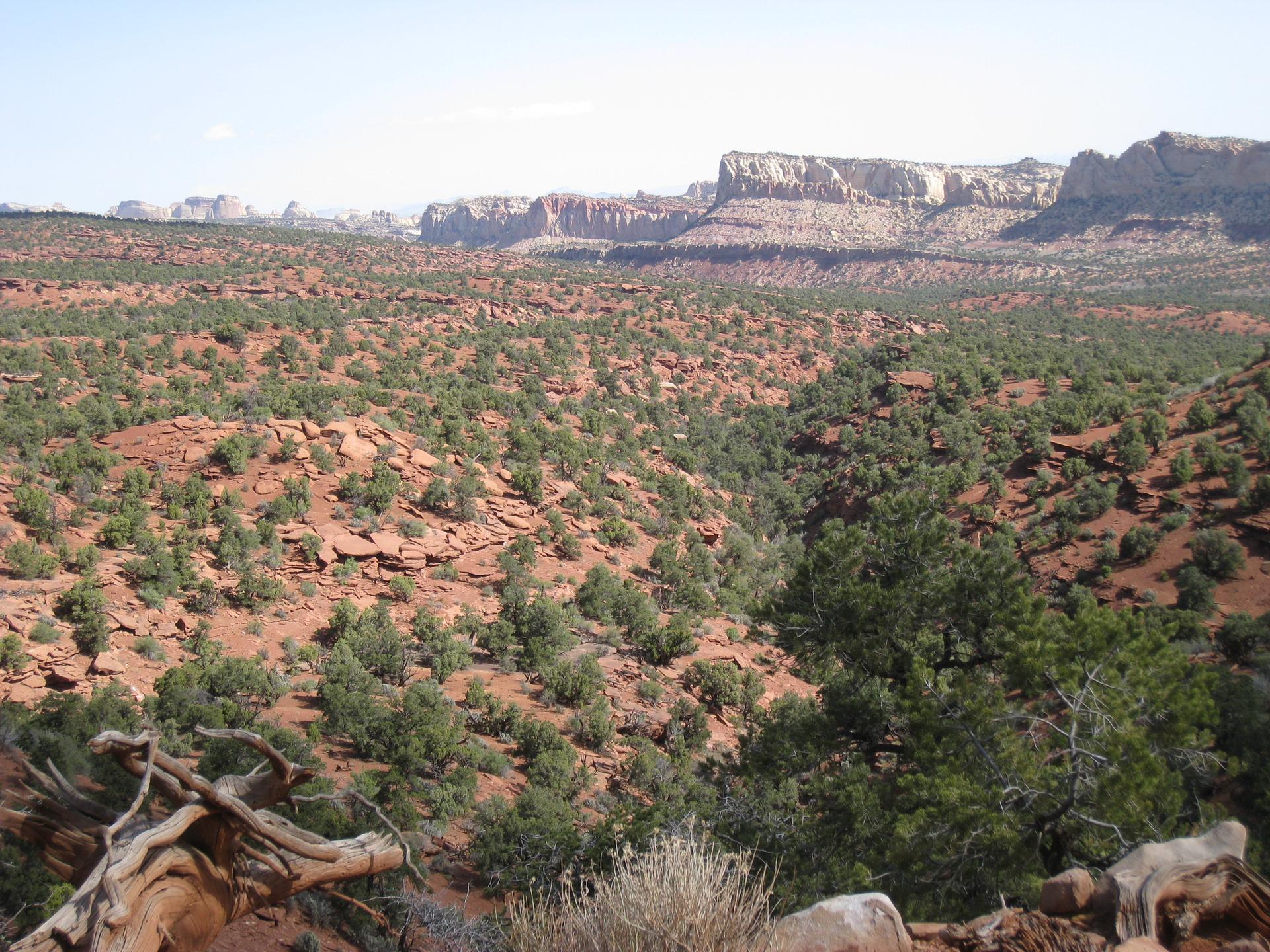 Vast desert landscape with red rock, green shrubs, and distant mesas under clear sky.