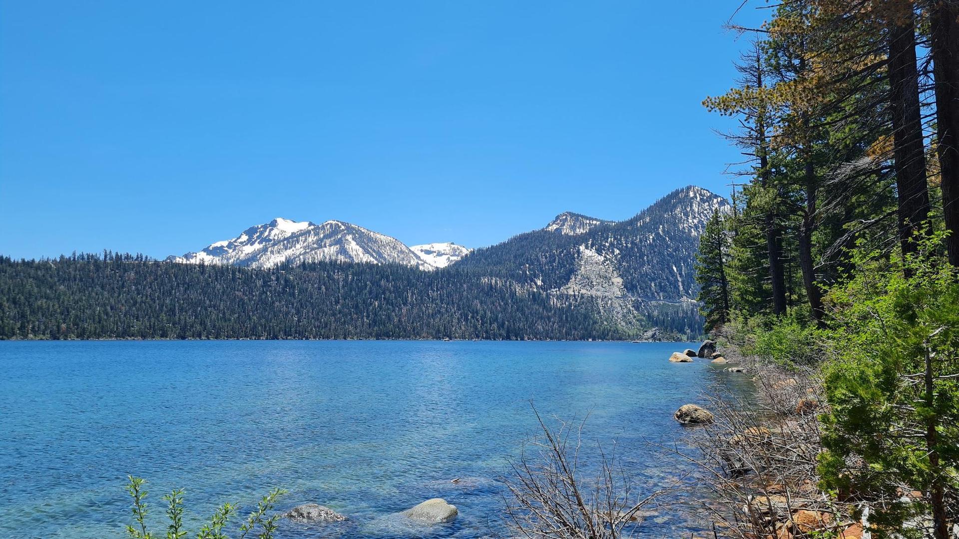 Clear blue lake with snow-capped mountains and dense pine forests under bright sun.