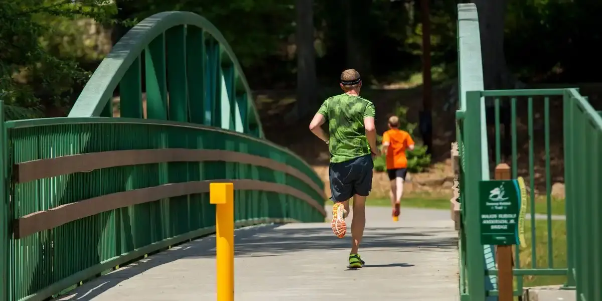 Two runners cross a green arched bridge on a bright, sunny day.