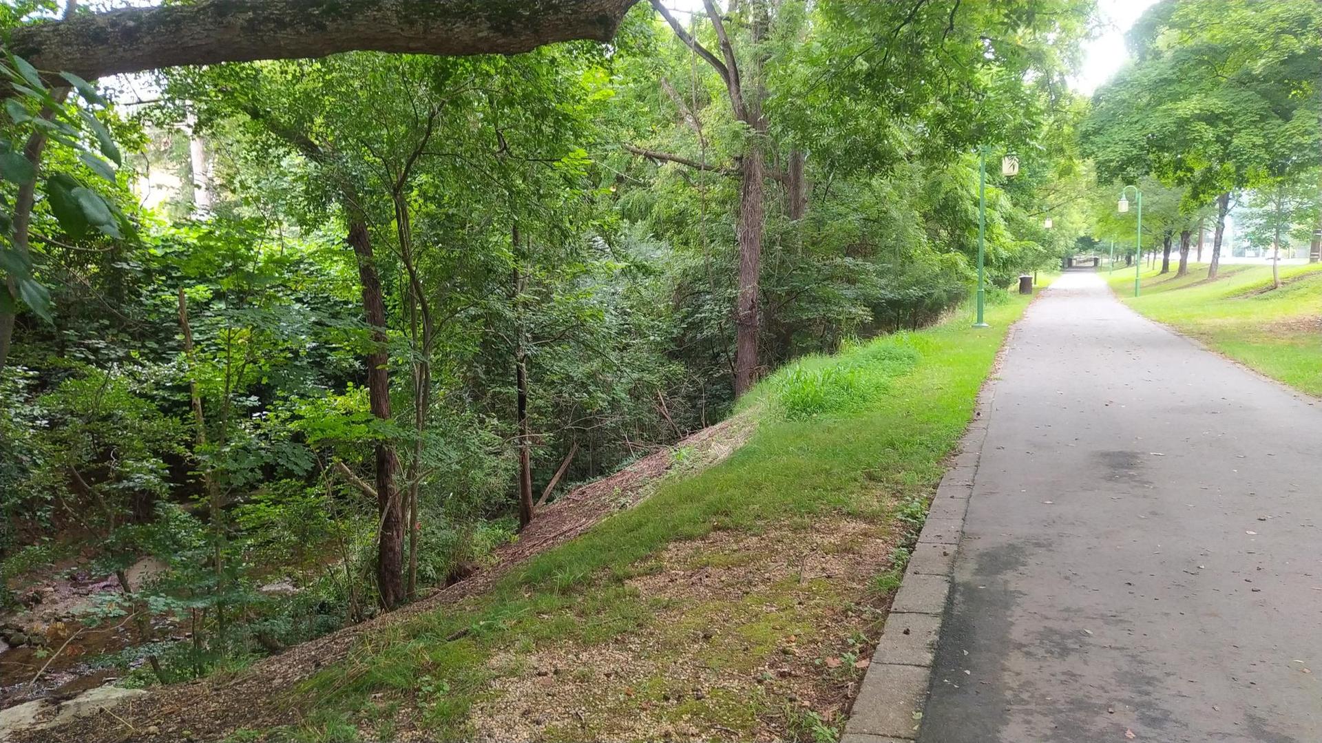 A paved path borders a dense green forest and grassy slope.