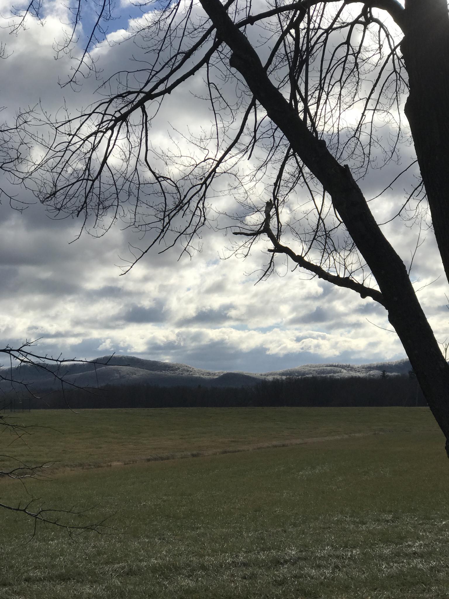 Bare tree branches frame a cloudy landscape with a field and mountains.