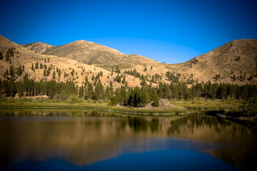 Calm lake reflecting sunlit mountains and scattered trees under a clear blue sky.