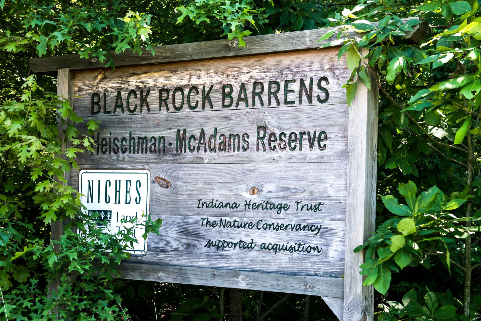 A weathered wooden sign stands among green leaves in bright sunlight.