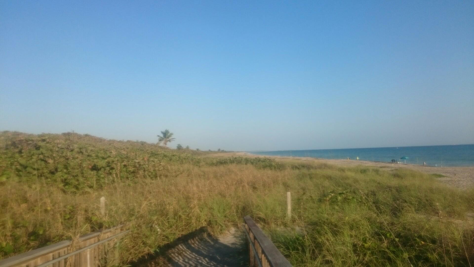 A wooden boardwalk leads through tall grasses towards a sunny beach and ocean.