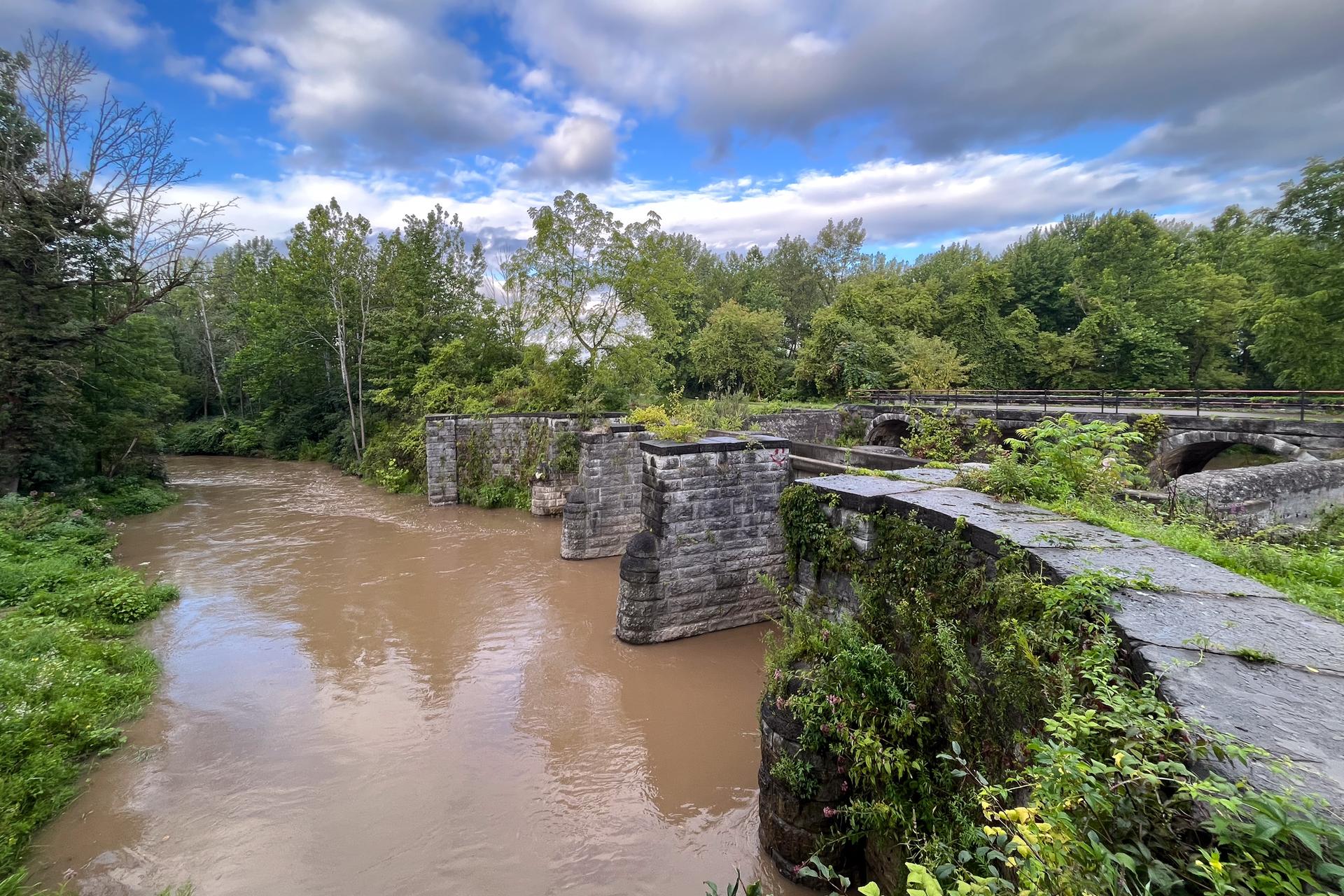 Muddy river flowing past old stone structures and lush green trees.