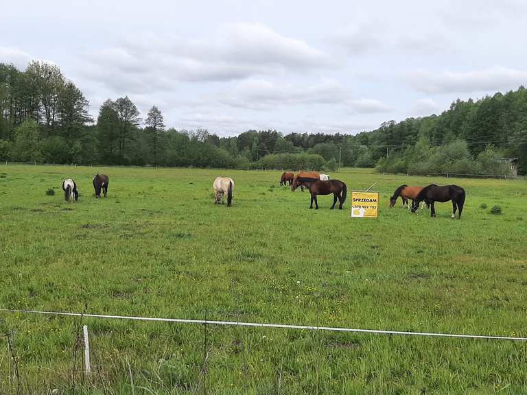 Stajnia Mustang : Radtouren und Radwege | komoot