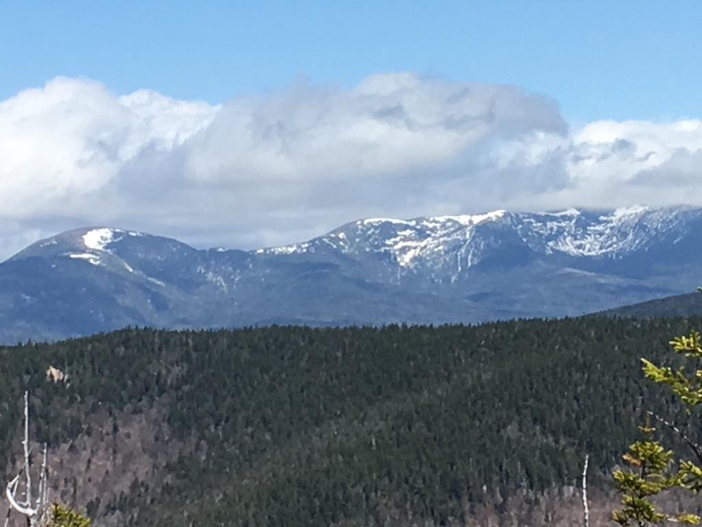 Snow-capped mountains rise above a dark green forest under a cloudy sky.