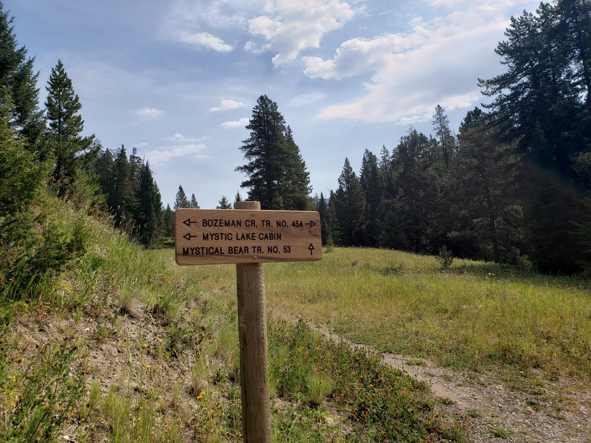 A wooden trail sign in a grassy clearing surrounded by pine trees.