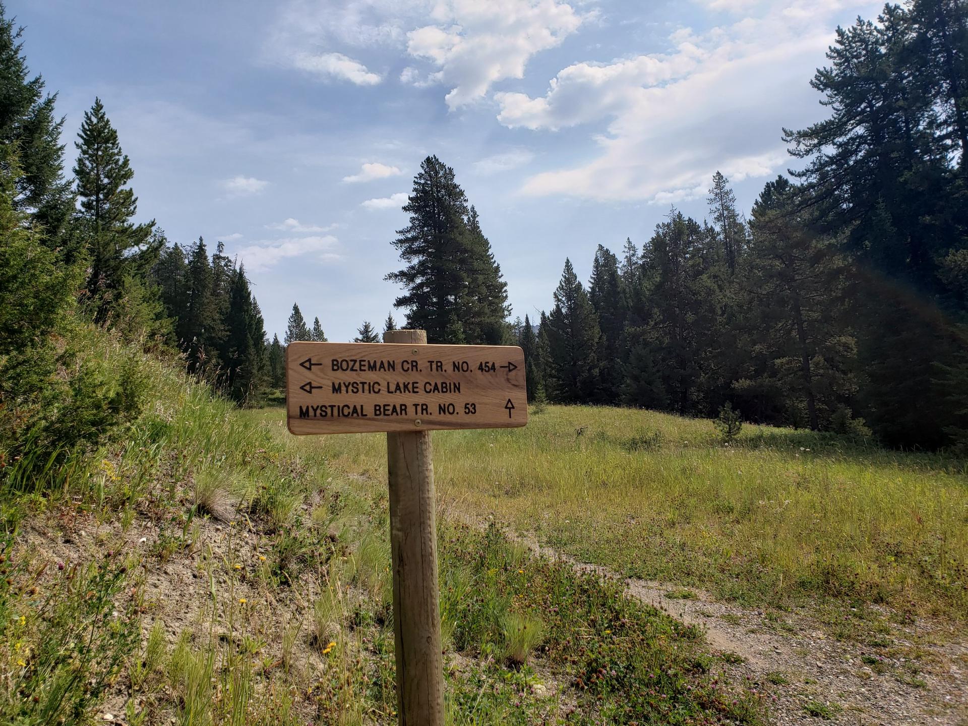 A wooden trail sign in a grassy clearing surrounded by pine trees.