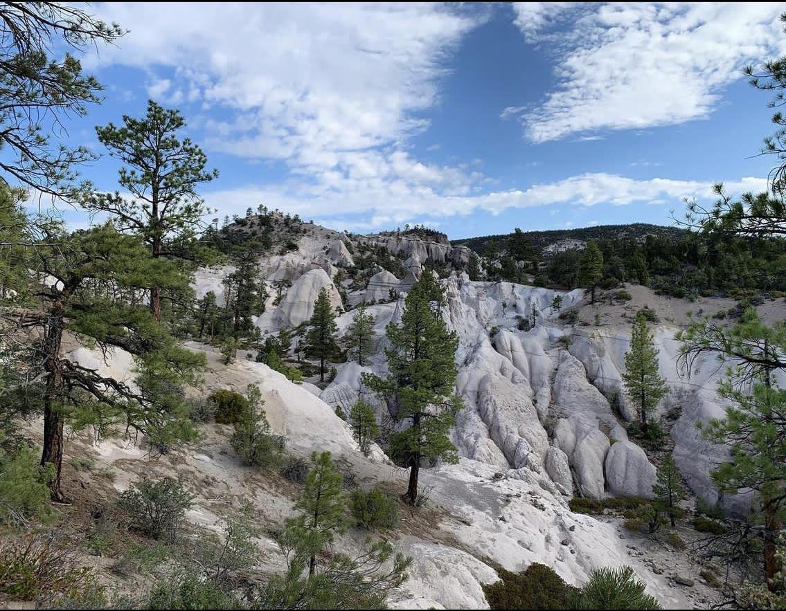 White eroded rock formations and green pine trees under a bright blue sky.