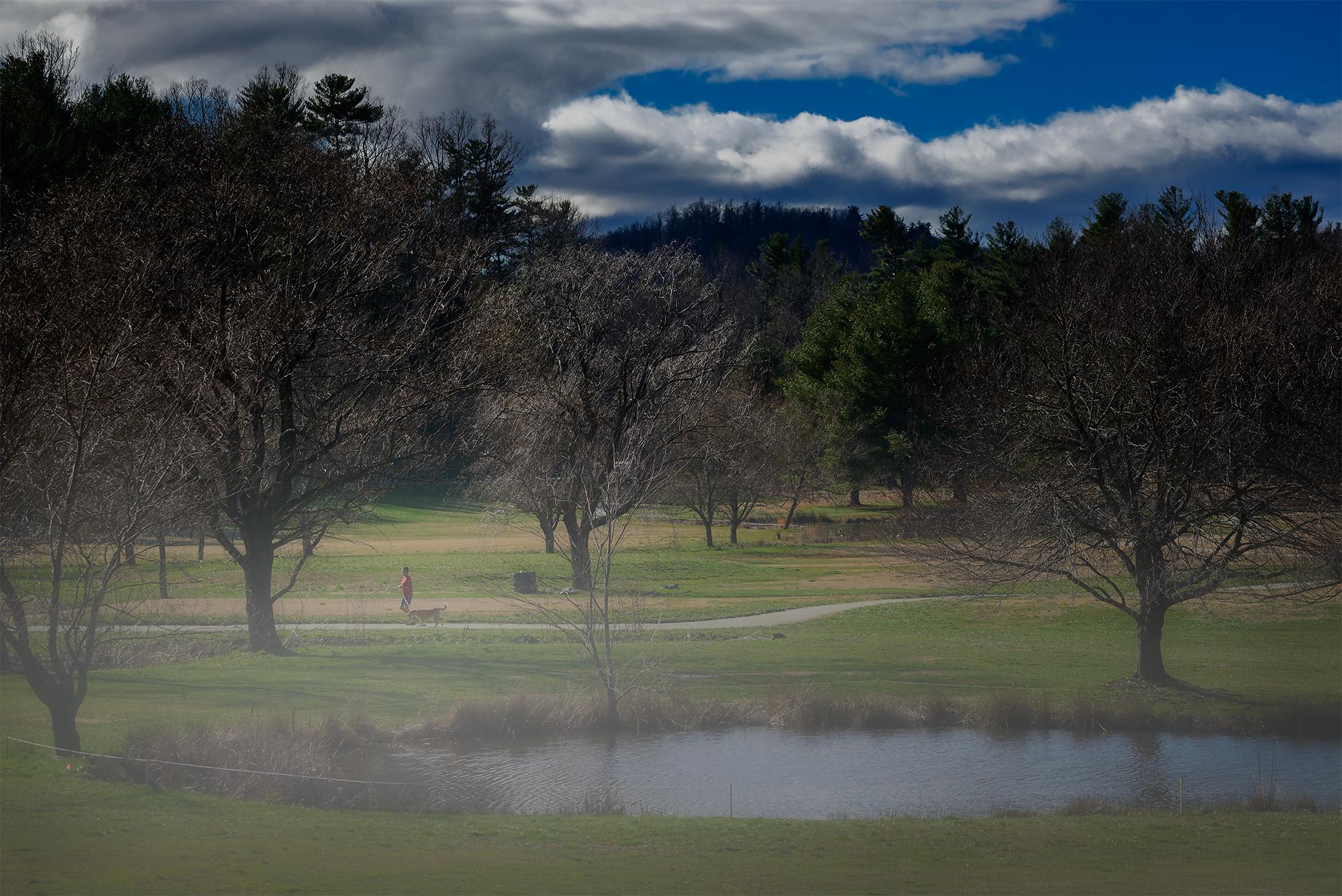 A person walks on a path near a pond and bare trees under a cloudy sky.