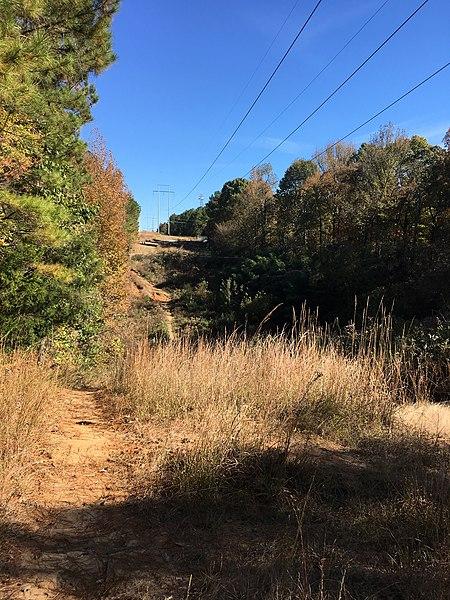 A sunny dirt path next to dry grass with power lines overhead.