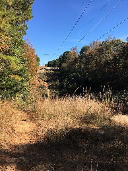 A sunny dirt path next to dry grass with power lines overhead. - South Campus Trails Loop
