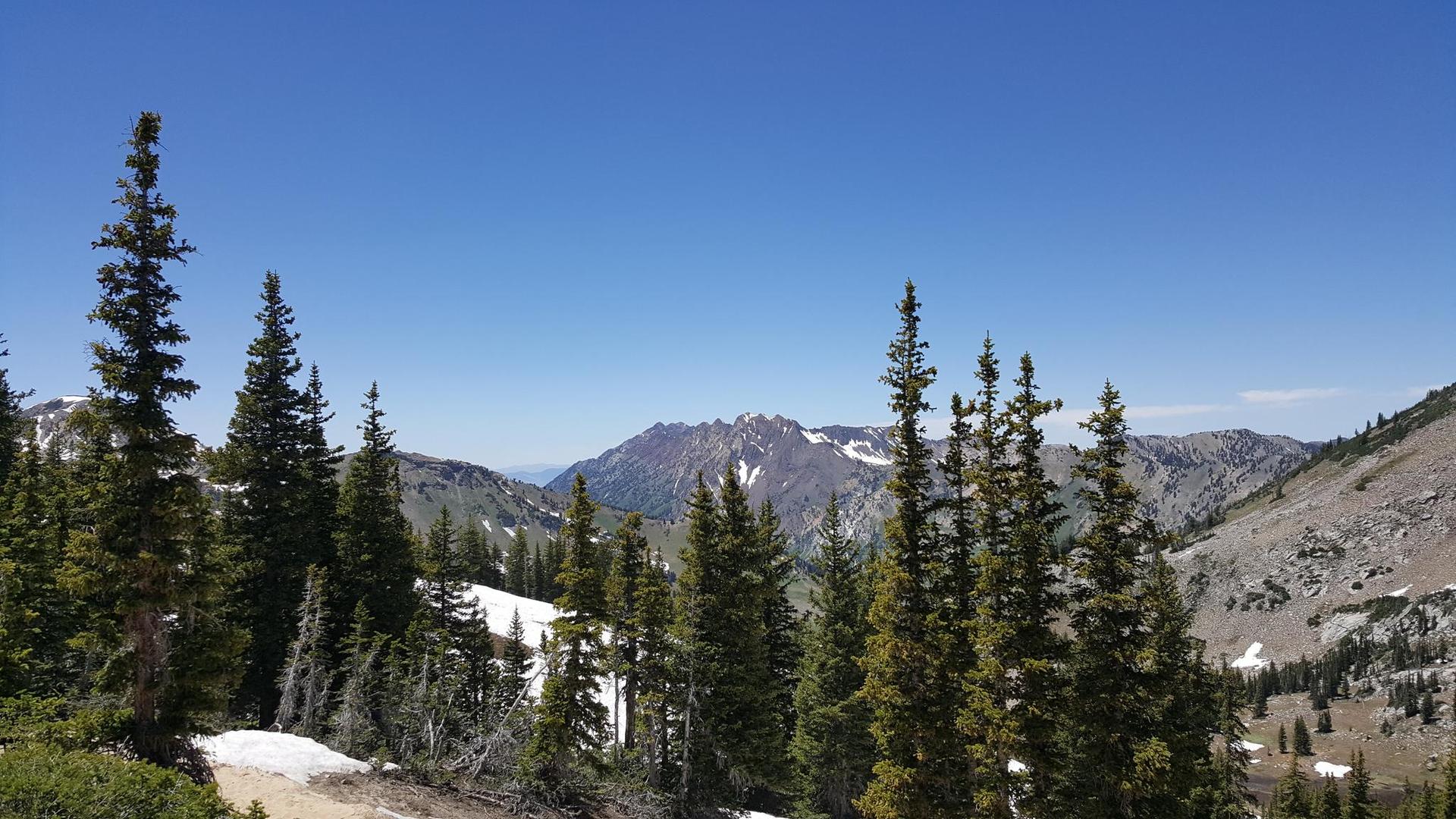 Sunny mountain landscape with pine trees, snow patches, and distant peaks.