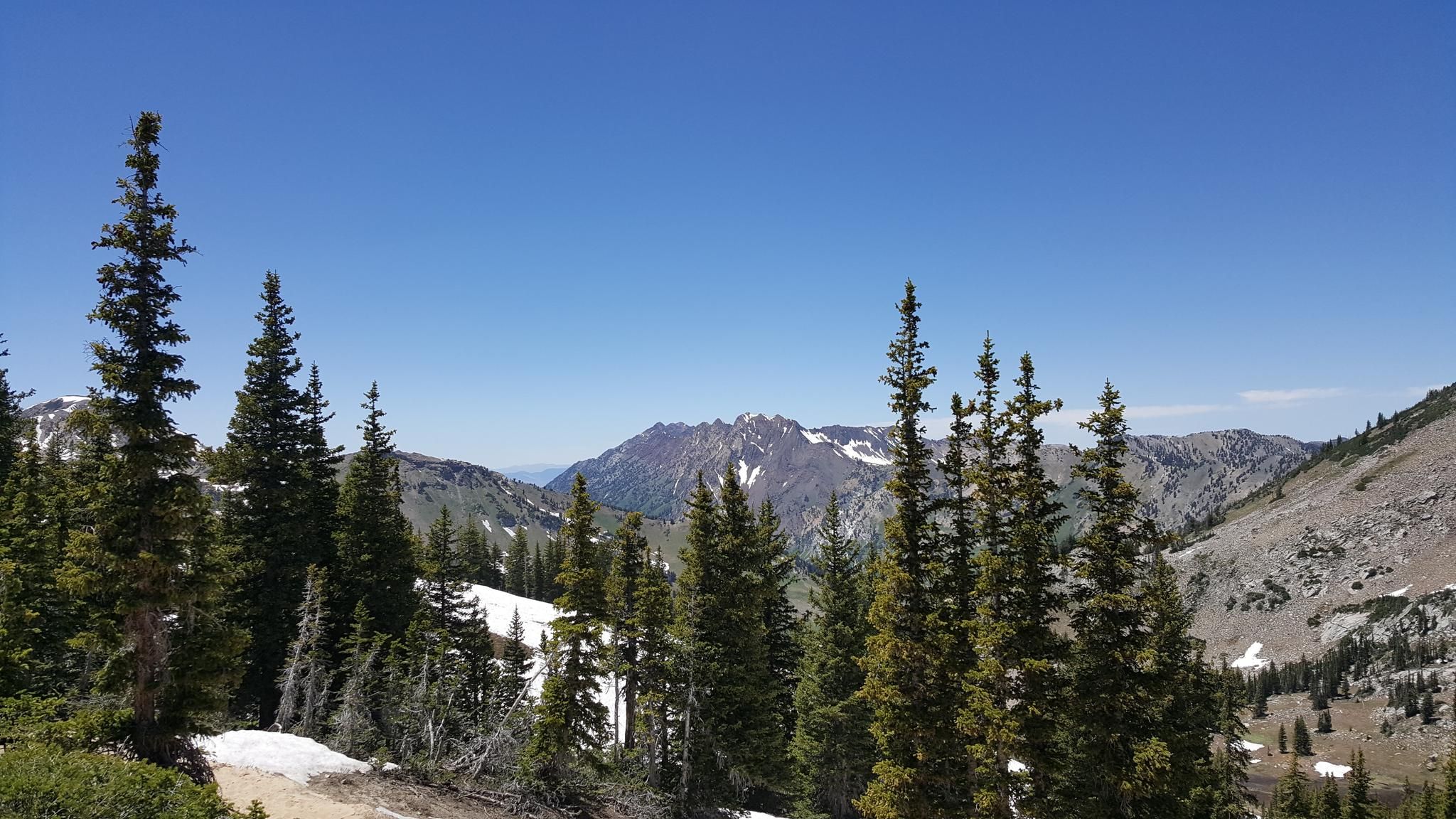 Sunny mountain landscape with pine trees, snow patches, and distant peaks. - Twin Lakes Pass – Catherine Pass loop from Alta